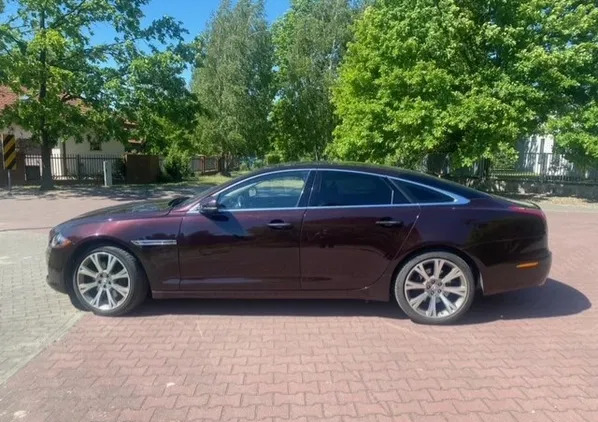 samochody osobowe Jaguar XJ cena 48000 przebieg: 231000, rok produkcji 2010 z Radom